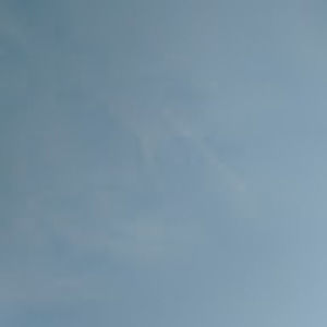 Meet your Posher, Carl